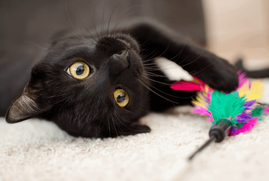 produtos lucrativos para revenda
